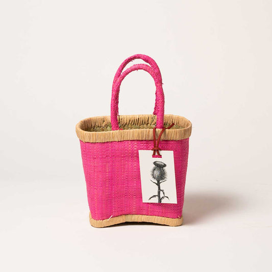 Cardito Fucsia