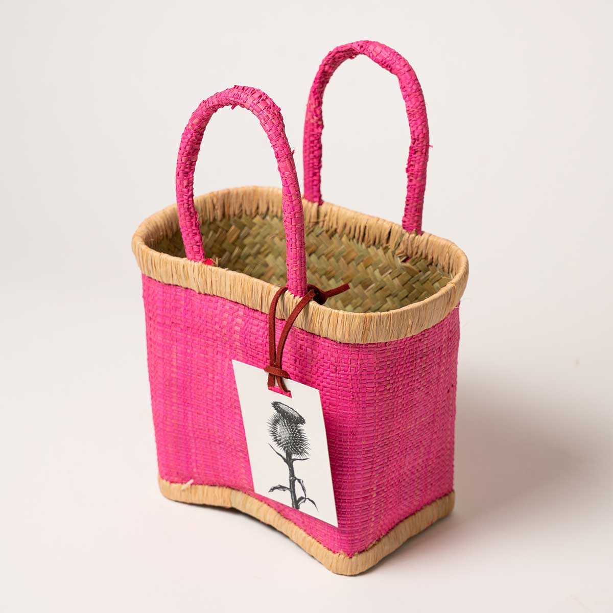 Cardito Fucsia